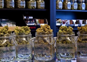 Why Shop From an Online Cannabis Dispensary?