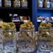 Why Shop From an Online Cannabis Dispensary?